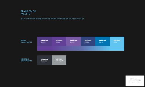 虛實(shí)交融，智啟未來——虛擬現(xiàn)實(shí)人工智能開發(fā)公司VI設(shè)計(jì)探索