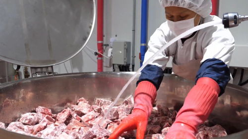 超大規(guī)模的韓國(guó)食品工廠,制作出來(lái)的排骨真是色香味俱全
